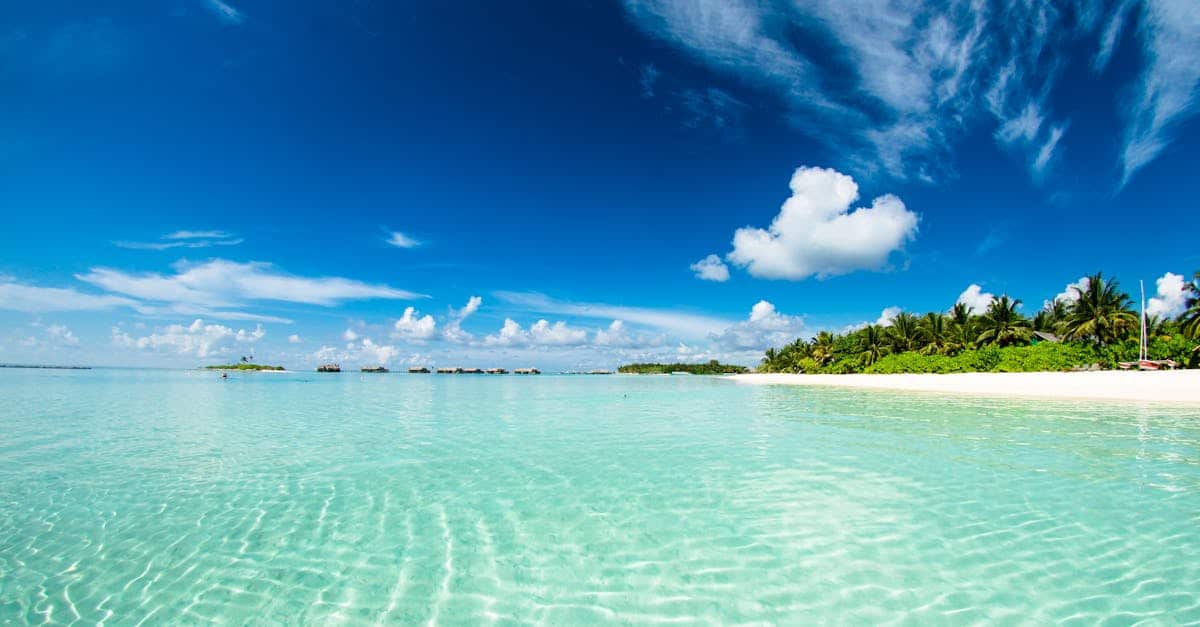 plage de sable clair bordée de rochers et de pins, mer calme sous un ciel dégagé en fin de journée